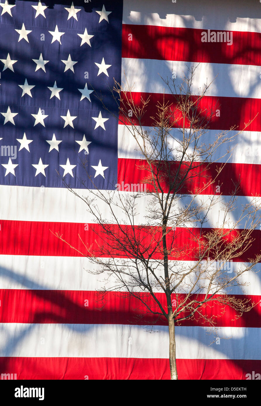 Un énorme drapeau américain, Lexington, Massachusetts, New England, USA Banque D'Images