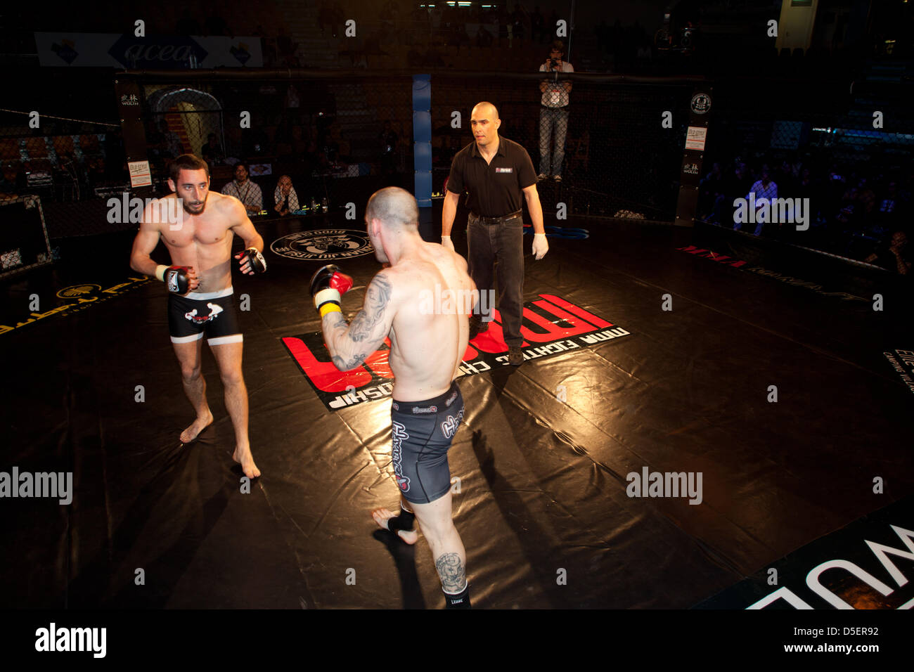 ROME, ITALIE - 30 mars : au Palais des Sports dans la Viale Tiziano phénomènes de Mixed Martial Arts fighted dans la cage" à l'adrénaline pure donnant les téléspectateurs. Le caractère spectaculaire de cet événement réside dans la combinaison de différentes disciplines qui se rejoignent en un seul match, qui a lieu à l'intérieur d'une cage de 9 mètres. Rien n'est interdit. Était de loin le plus intéressant de montrer sur la scène nationale. Mis en évidence très l'adéquation entre le Brésilien Fabricio Nascimento contre Marco Santi a terminé avec la victoire de Marco Santi - 30 mars 2013 à Rome. Banque D'Images