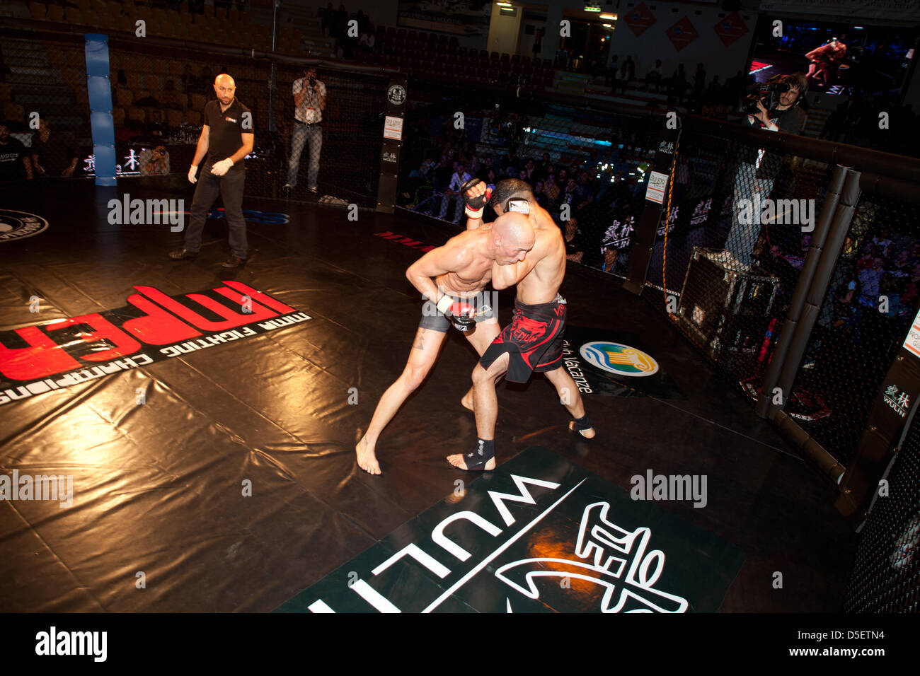 ROME, ITALIE - 30 mars : au Palais des Sports dans la Viale Tiziano phénomènes de Mixed Martial Arts fighted dans la cage" à l'adrénaline pure donnant les téléspectateurs. Le caractère spectaculaire de cet événement réside dans la combinaison de différentes disciplines qui se rejoignent en un seul match, qui a lieu à l'intérieur d'une cage de 9 mètres. Rien n'est interdit. Était de loin le plus intéressant de montrer sur la scène nationale. Mis en évidence très l'adéquation entre le Brésilien Fabricio Nascimento contre Marco Santi a terminé avec la victoire de Marco Santi - 30 mars 2013 à Rome. Banque D'Images