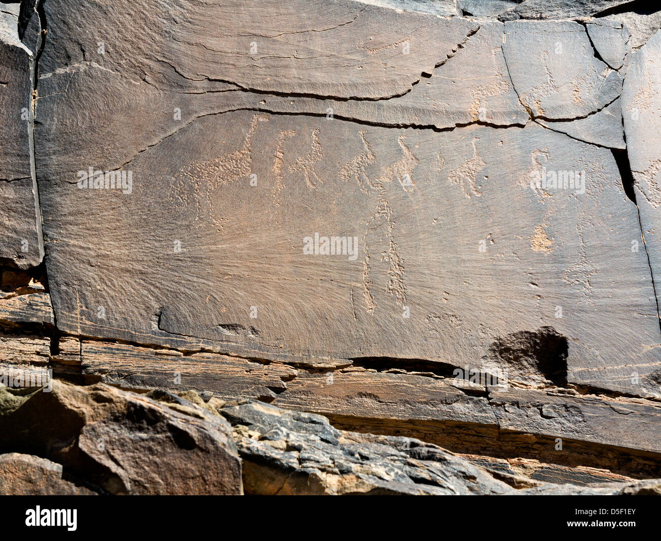 Wadi près de village de Ait Ouabelli où il y a un site d'art rupestre préhistorique, sur la route entre Akka et Icht au Maroc Banque D'Images