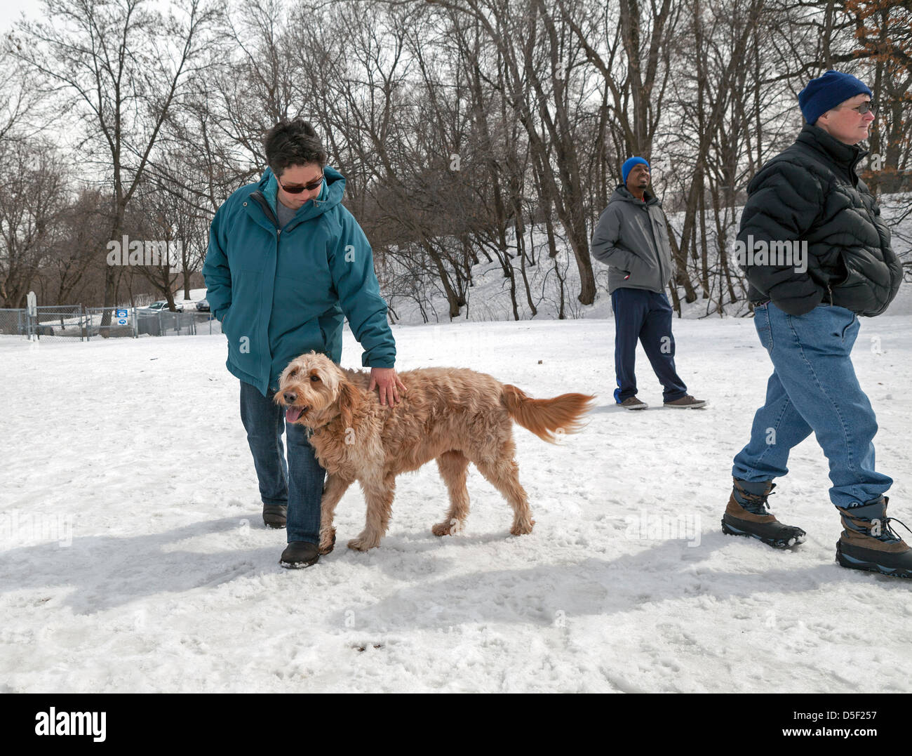 Un golden-doodle et sa propriétaire passer du temps dans un parc à chiens à Minneapolis. Banque D'Images