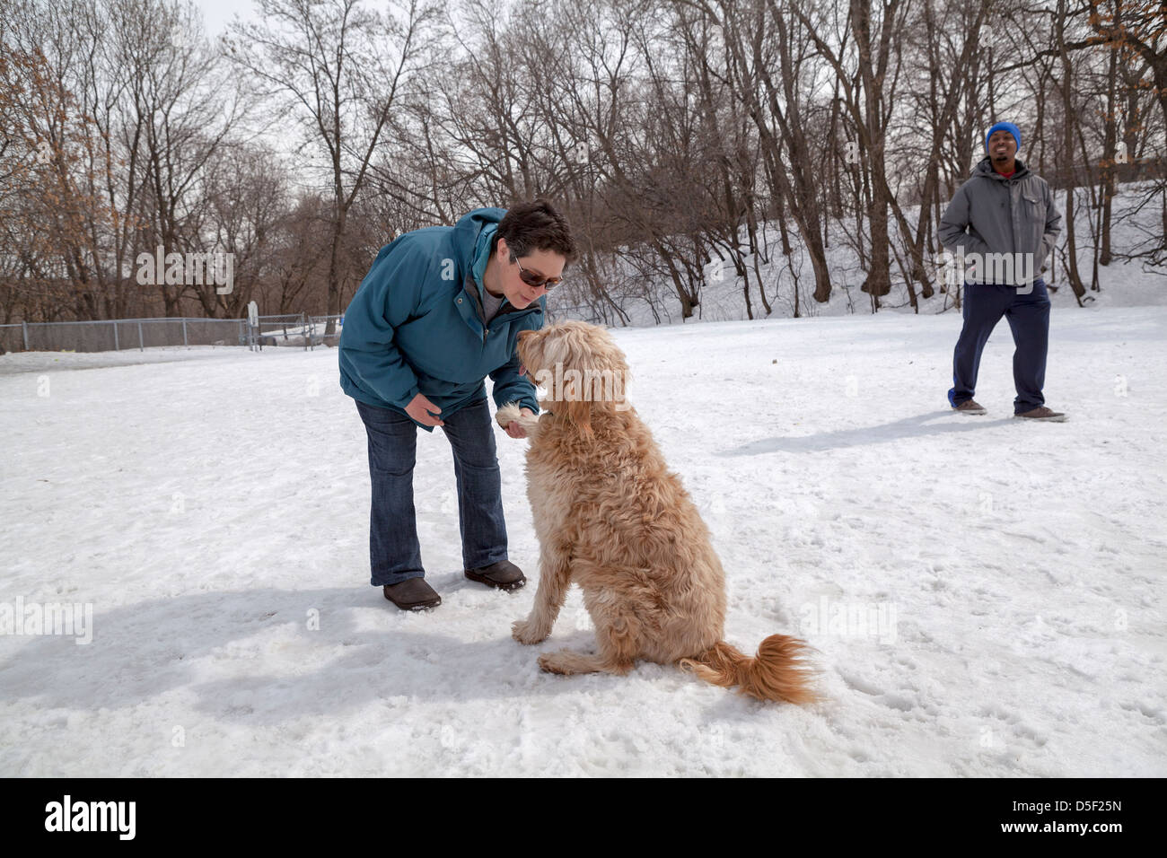 Un golden-doodle et sa propriétaire partager un moment ensemble dans un parc à chiens à Minneapolis. Banque D'Images
