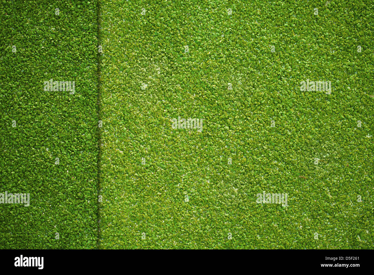 La texture de l'herbe artificielle sur le terrain de golf vue d'en haut Banque D'Images