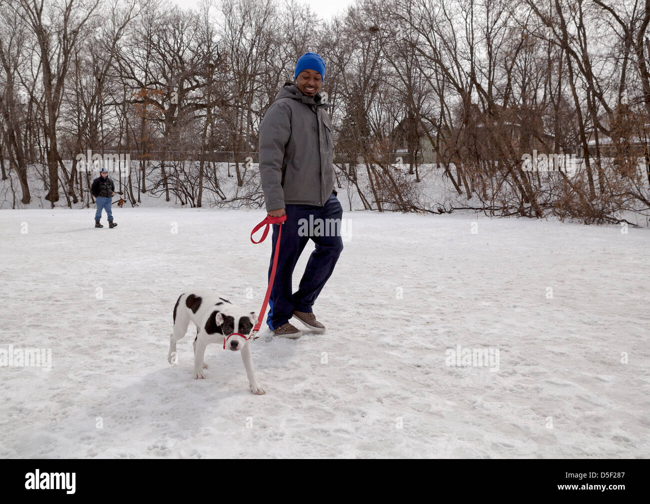 Un homme marche avec son chiot dans un parc pour chiens local à Minneapolis. Banque D'Images