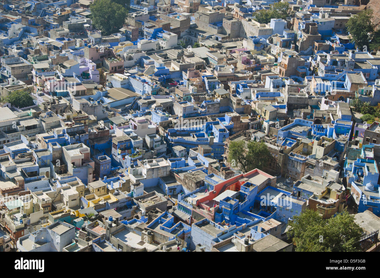 Belle ville bleue Jodhpur, au Rajasthan, Inde Banque D'Images