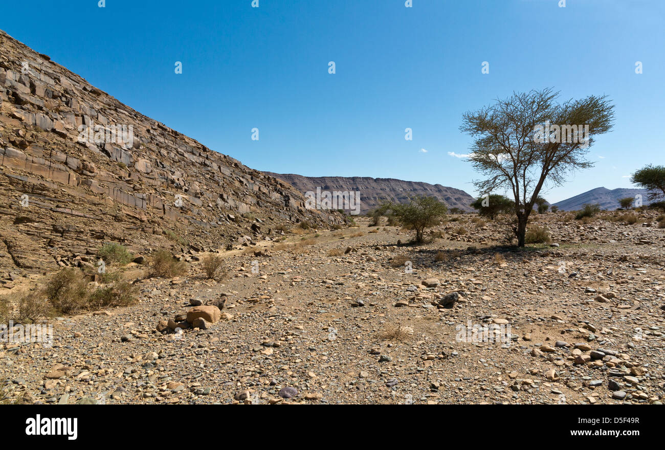 Wadi près de village de Ait Ouabelli où il y a un site d'art rupestre préhistorique, sur la route entre Akka et Icht au Maroc Banque D'Images