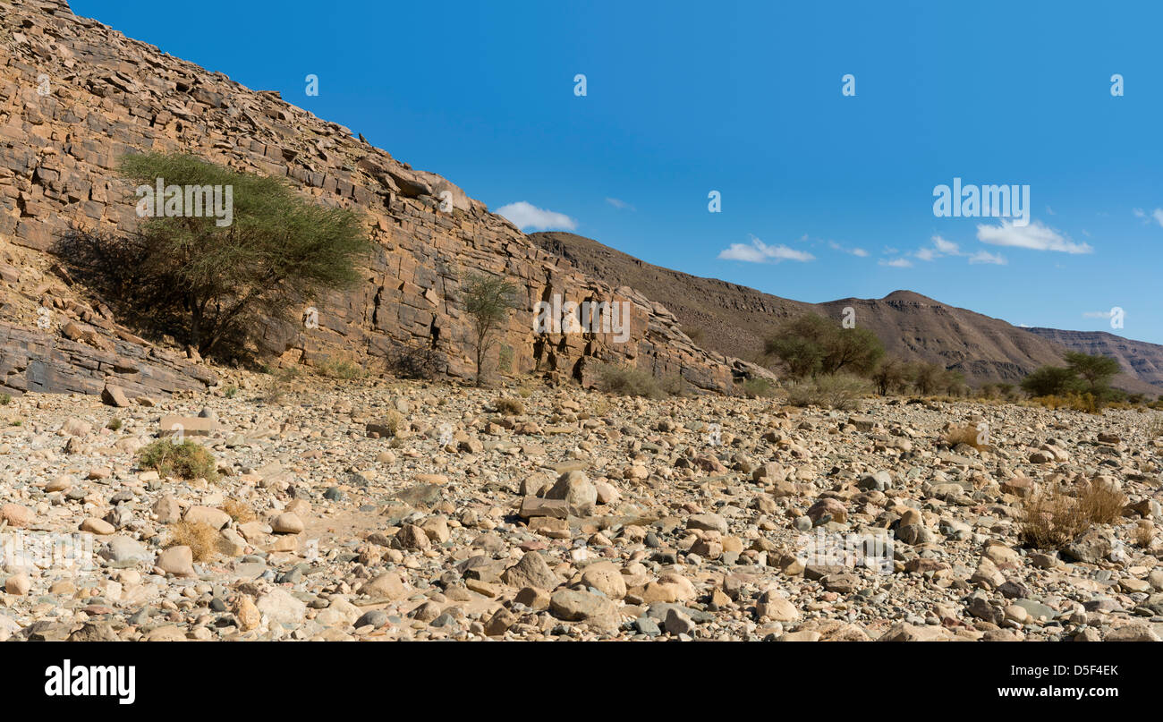 Wadi près de village de Ait Ouabelli où il y a un site d'art rupestre préhistorique, sur la route entre Akka et Icht au Maroc Banque D'Images