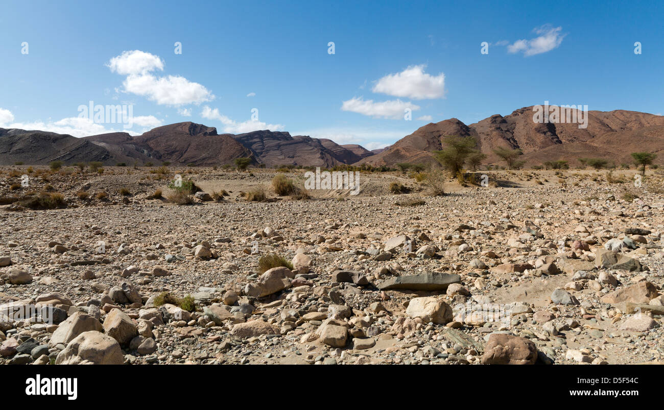 Wadi près de village de Ait Ouabelli où il y a un site d'art rupestre préhistorique, sur la route entre Akka et Icht au Maroc Banque D'Images