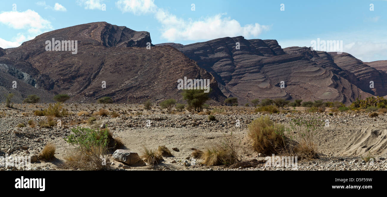 Wadi près de village de Ait Ouabelli où il y a un site d'art rupestre préhistorique, sur la route entre Akka et Icht au Maroc Banque D'Images