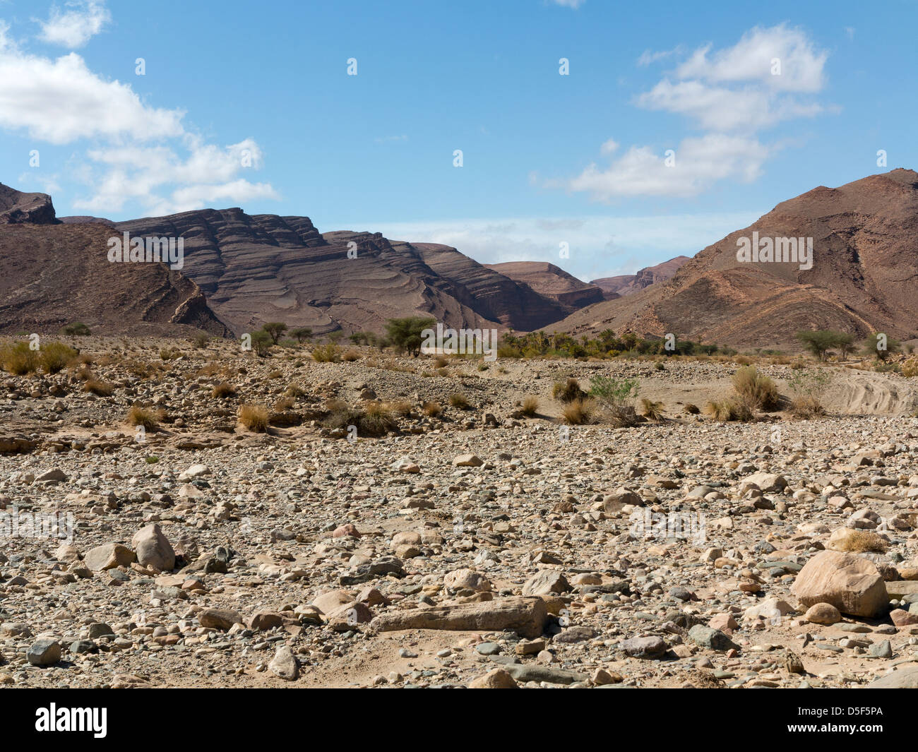 Wadi près de village de Ait Ouabelli où il y a un site d'art rupestre préhistorique, sur la route entre Akka et Icht au Maroc Banque D'Images