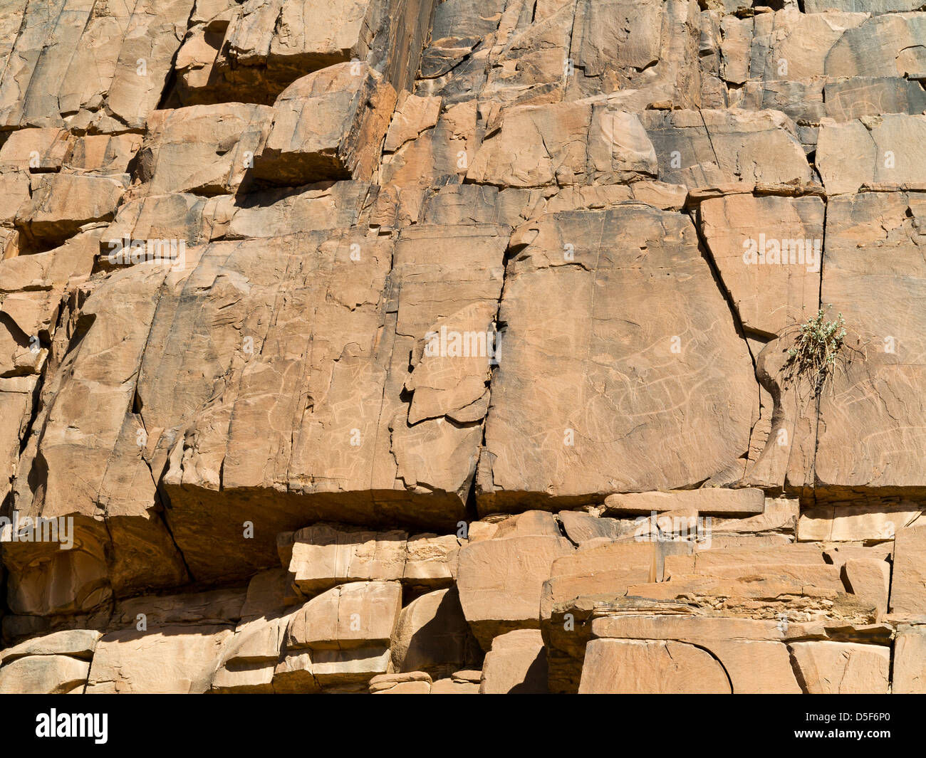 Wadi près de village de Ait Ouabelli où il y a un site d'art rupestre préhistorique, sur la route entre Akka et Icht au Maroc Banque D'Images