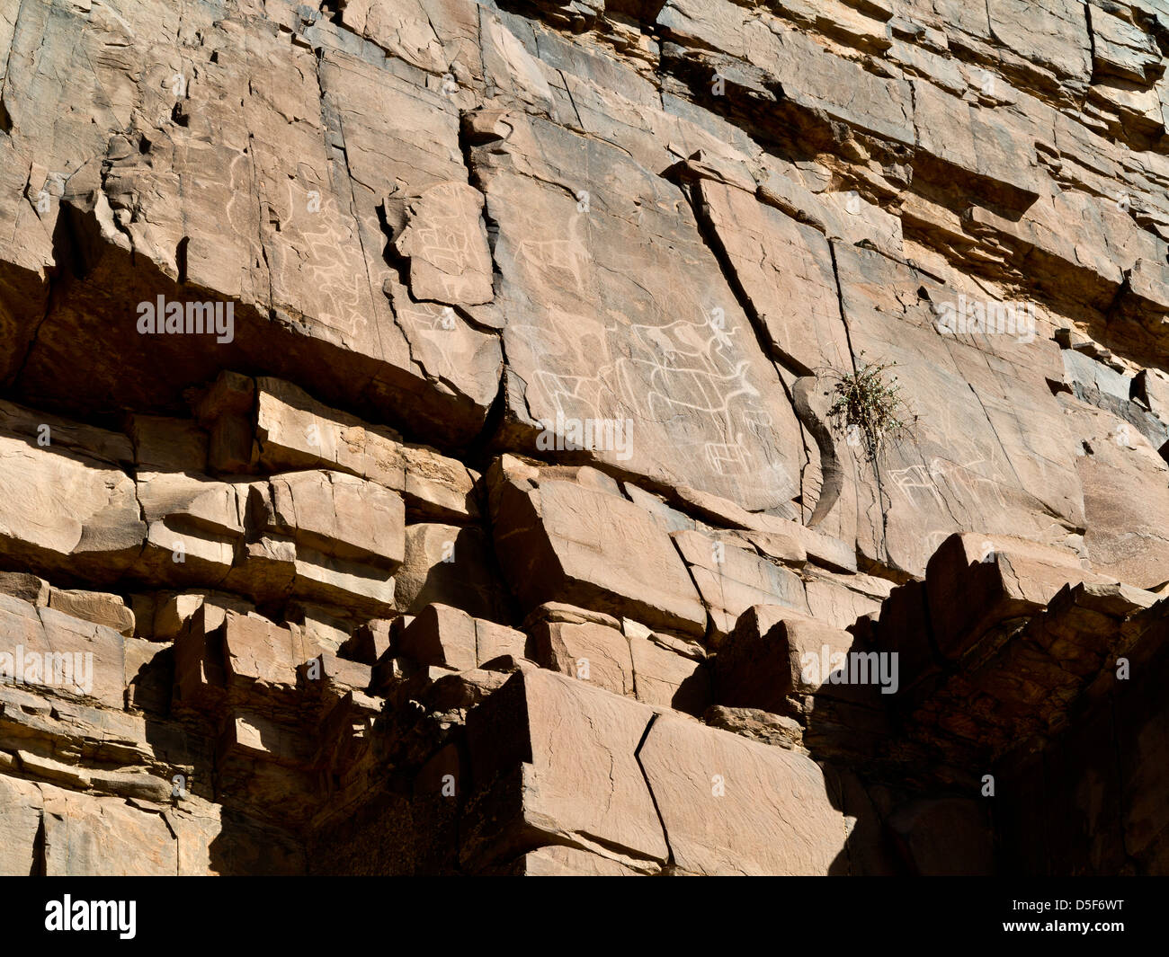 Wadi près de village de Ait Ouabelli où il y a un site d'art rupestre préhistorique, sur la route entre Akka et Icht au Maroc Banque D'Images