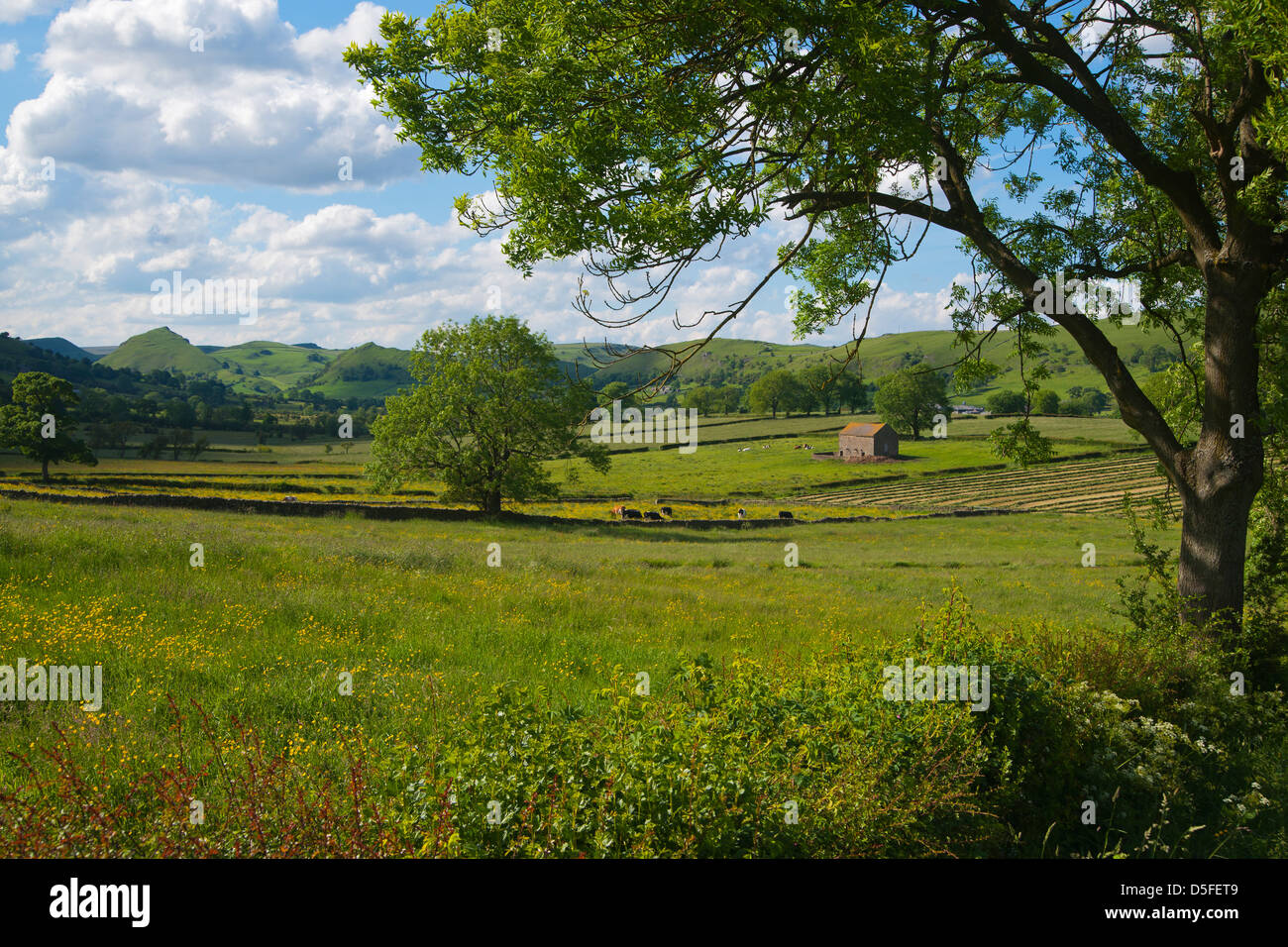 Paysage de Peak District, Derbyshire, Angleterre, Peak District Banque D'Images