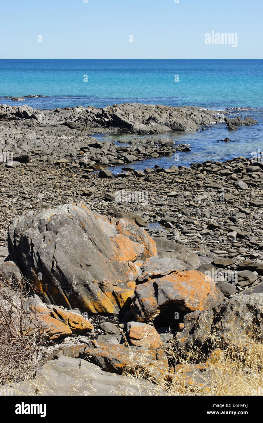 Littoral proche de Penneshaw, Kangaroo Island, Australie Banque D'Images