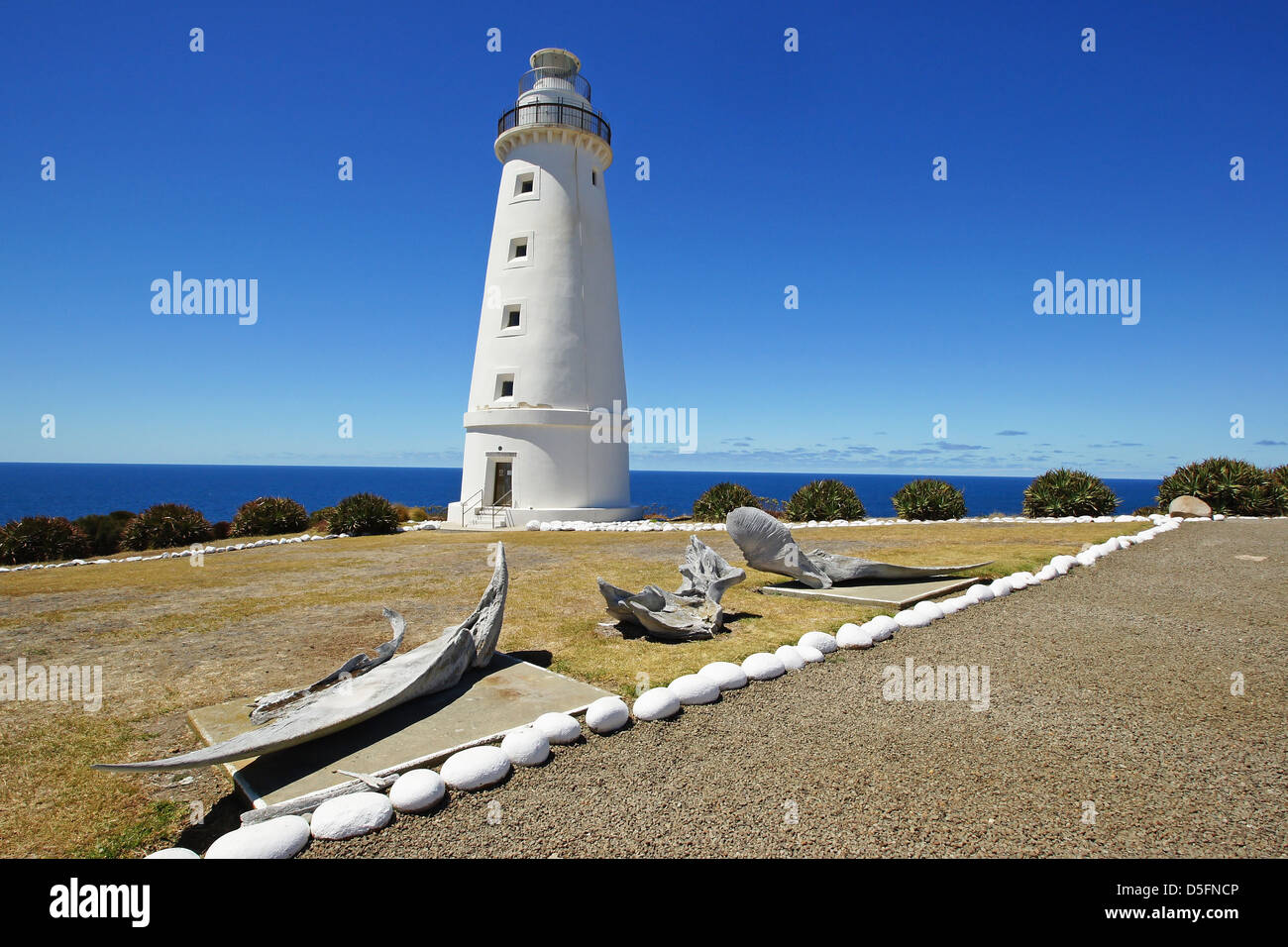 Phare de Cape Willoughby, Kangaroo Island, Australie Banque D'Images