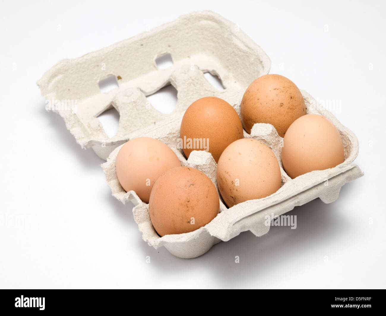 Six oeufs brun recyclé en boîte à œufs isolé sur fond blanc Banque D'Images