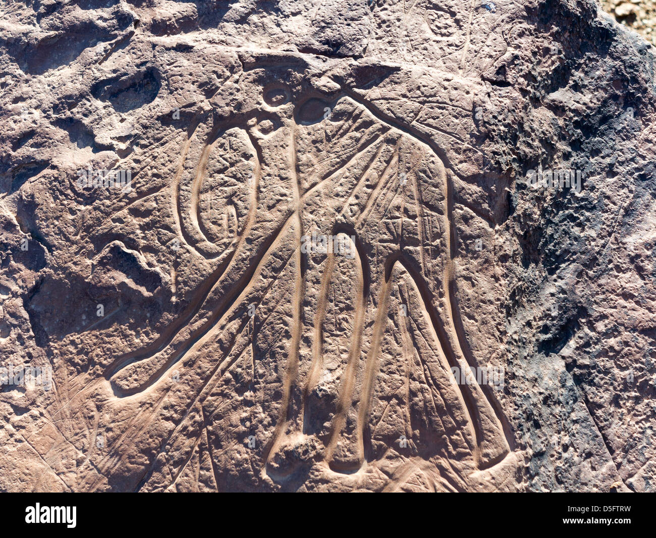 Sculptures rupestres préhistoriques à l'Aman sur Ighribin le Tata à Akka road au Maroc Banque D'Images