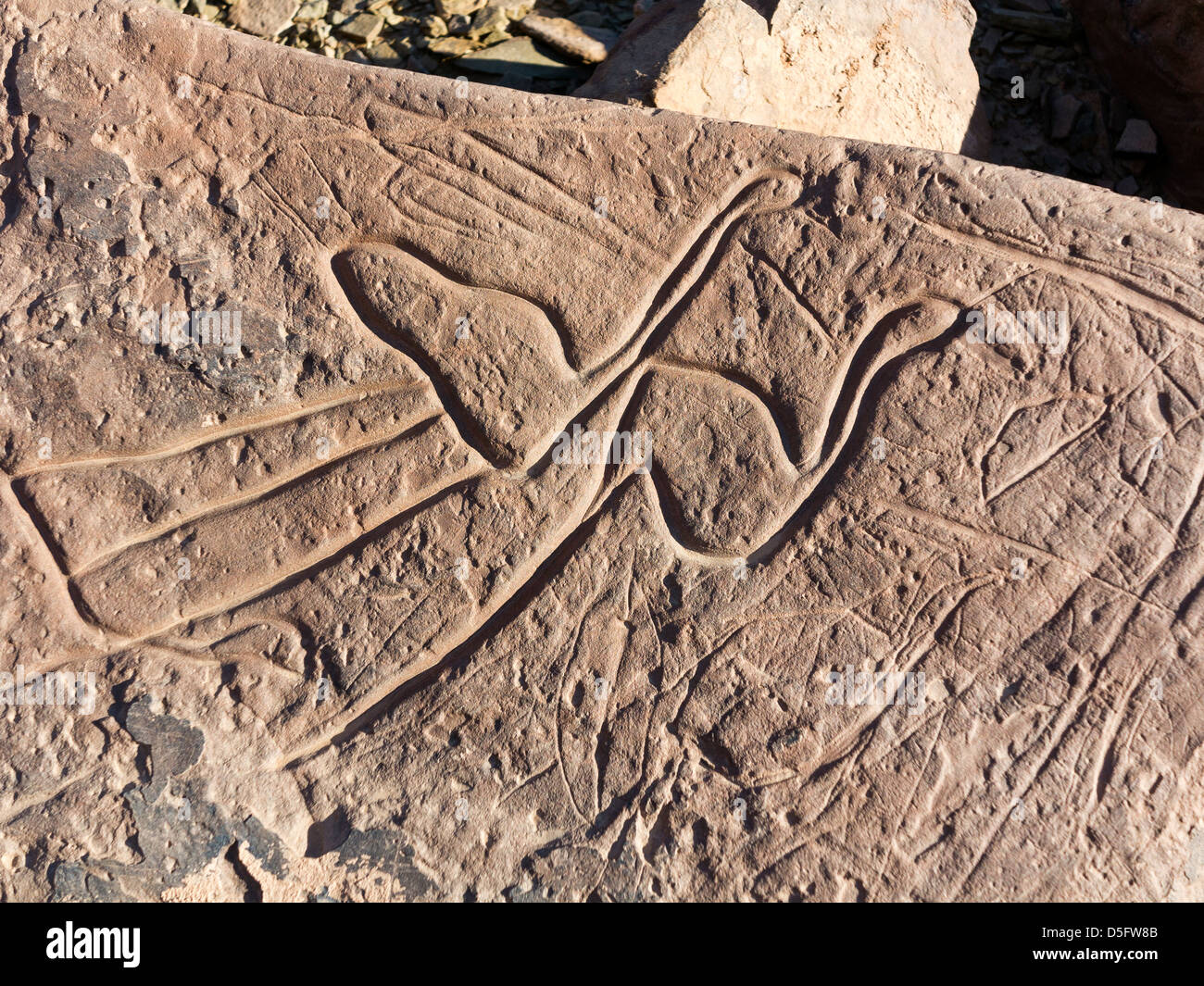 Sculptures rupestres préhistoriques à l'Aman sur Ighribin le Tata à Akka road au Maroc Banque D'Images