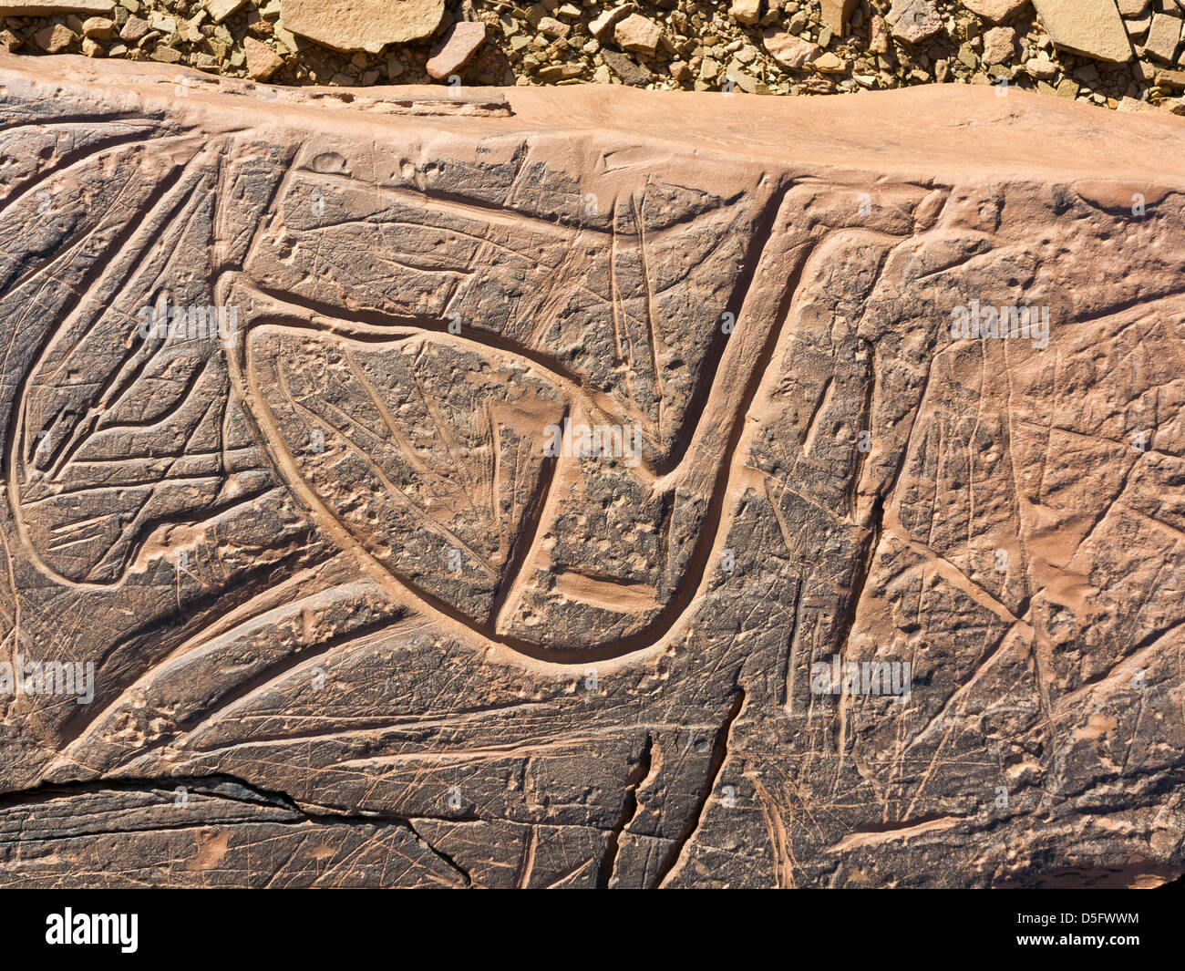 Sculptures rupestres préhistoriques à l'Aman sur Ighribin le Tata à Akka road au Maroc Banque D'Images