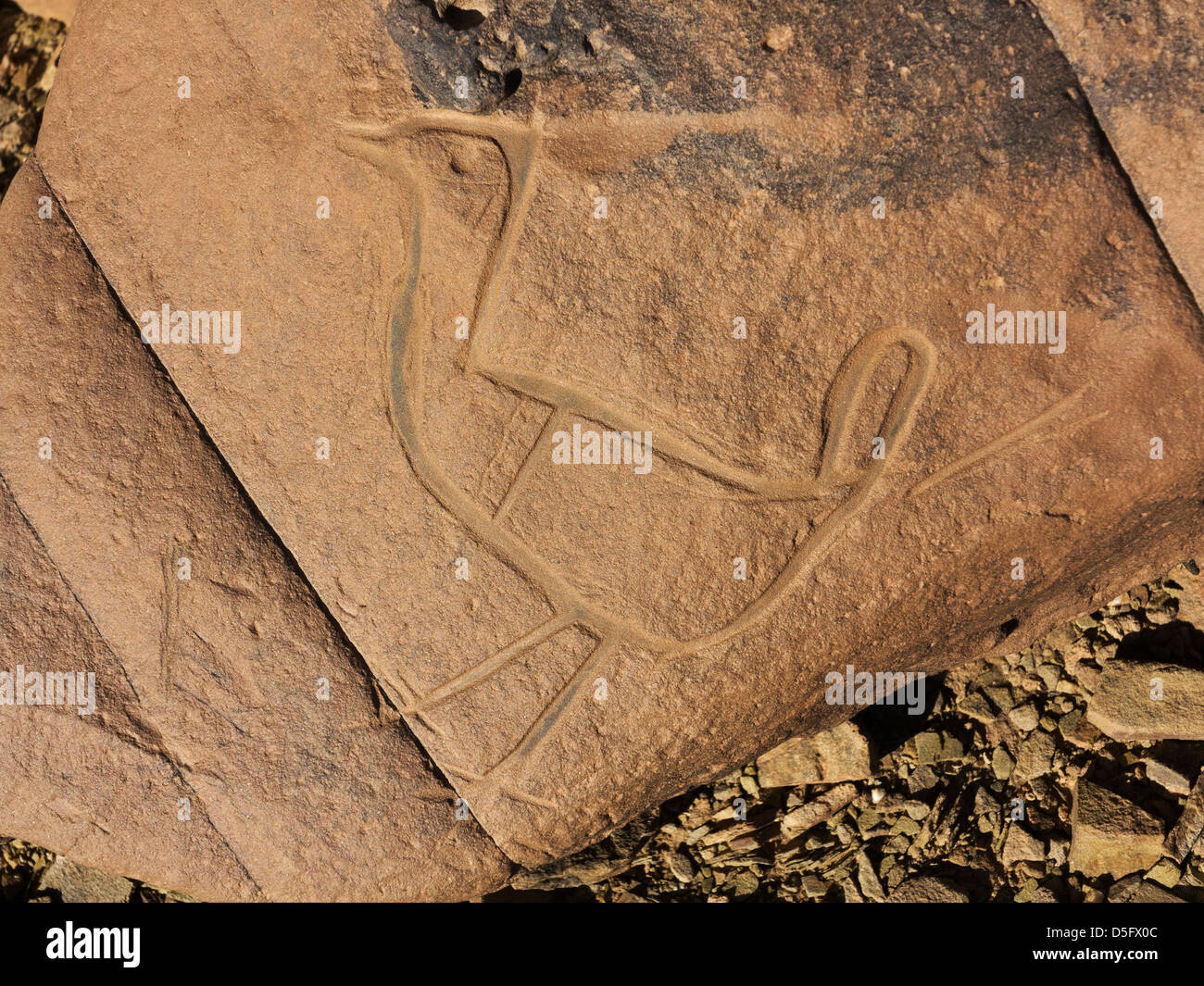 Sculptures rupestres préhistoriques à l'Aman sur Ighribin le Tata à Akka road au Maroc Banque D'Images