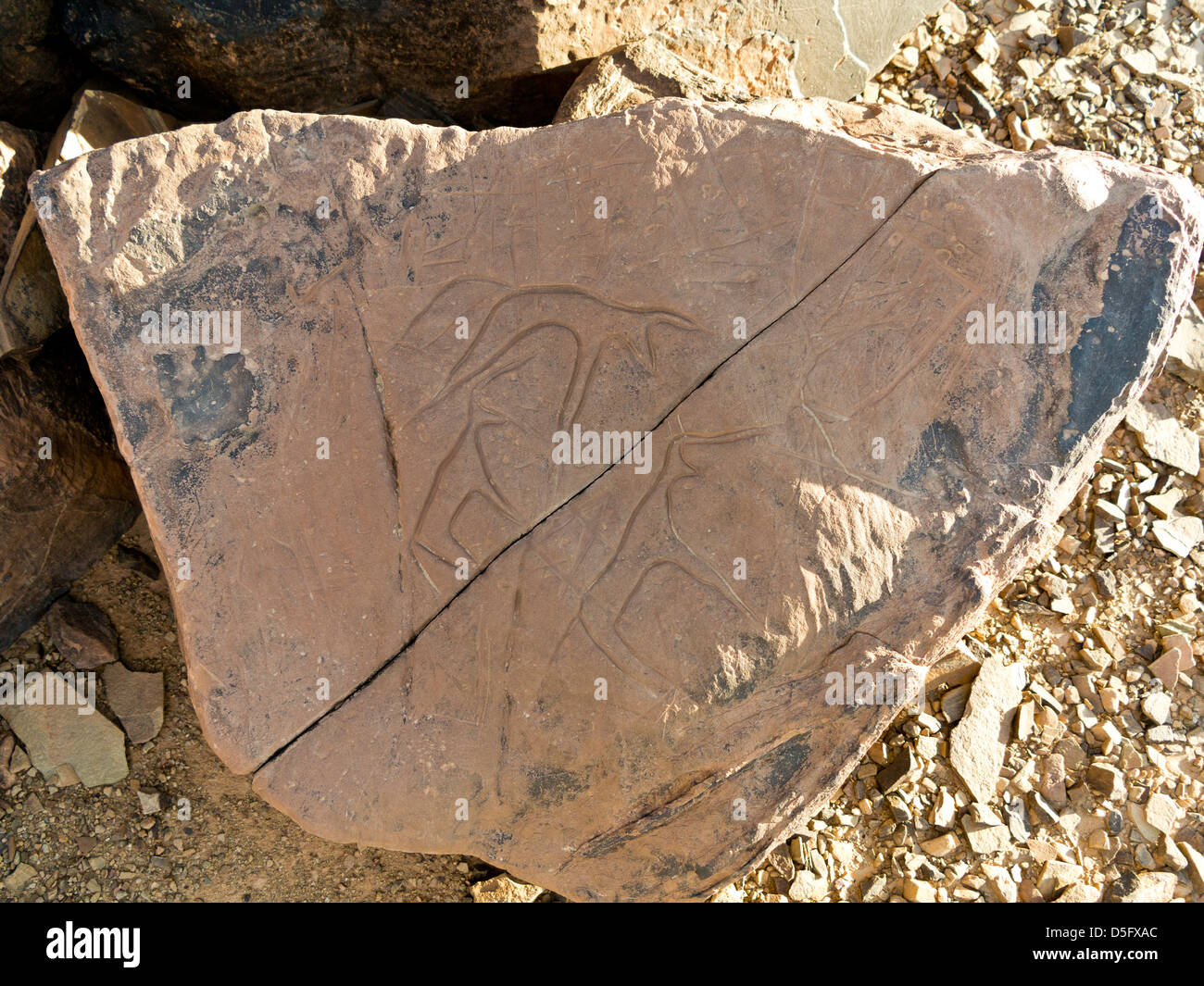 Sculptures rupestres préhistoriques à l'Aman sur Ighribin le Tata à Akka road au Maroc Banque D'Images