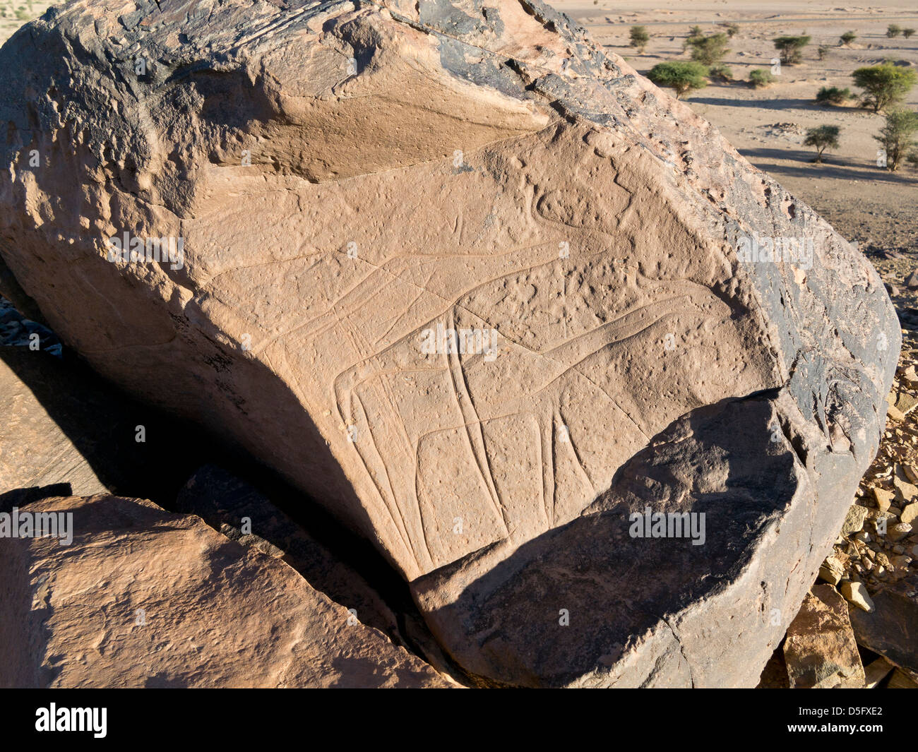 Sculptures rupestres préhistoriques à l'Aman sur Ighribin le Tata à Akka road au Maroc Banque D'Images