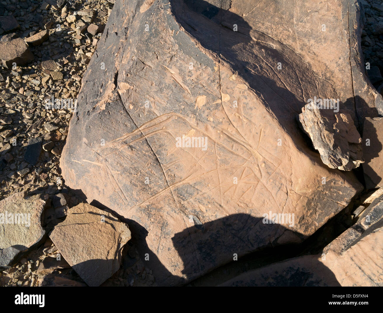 Sculptures rupestres préhistoriques à l'Aman sur Ighribin le Tata à Akka road au Maroc Banque D'Images