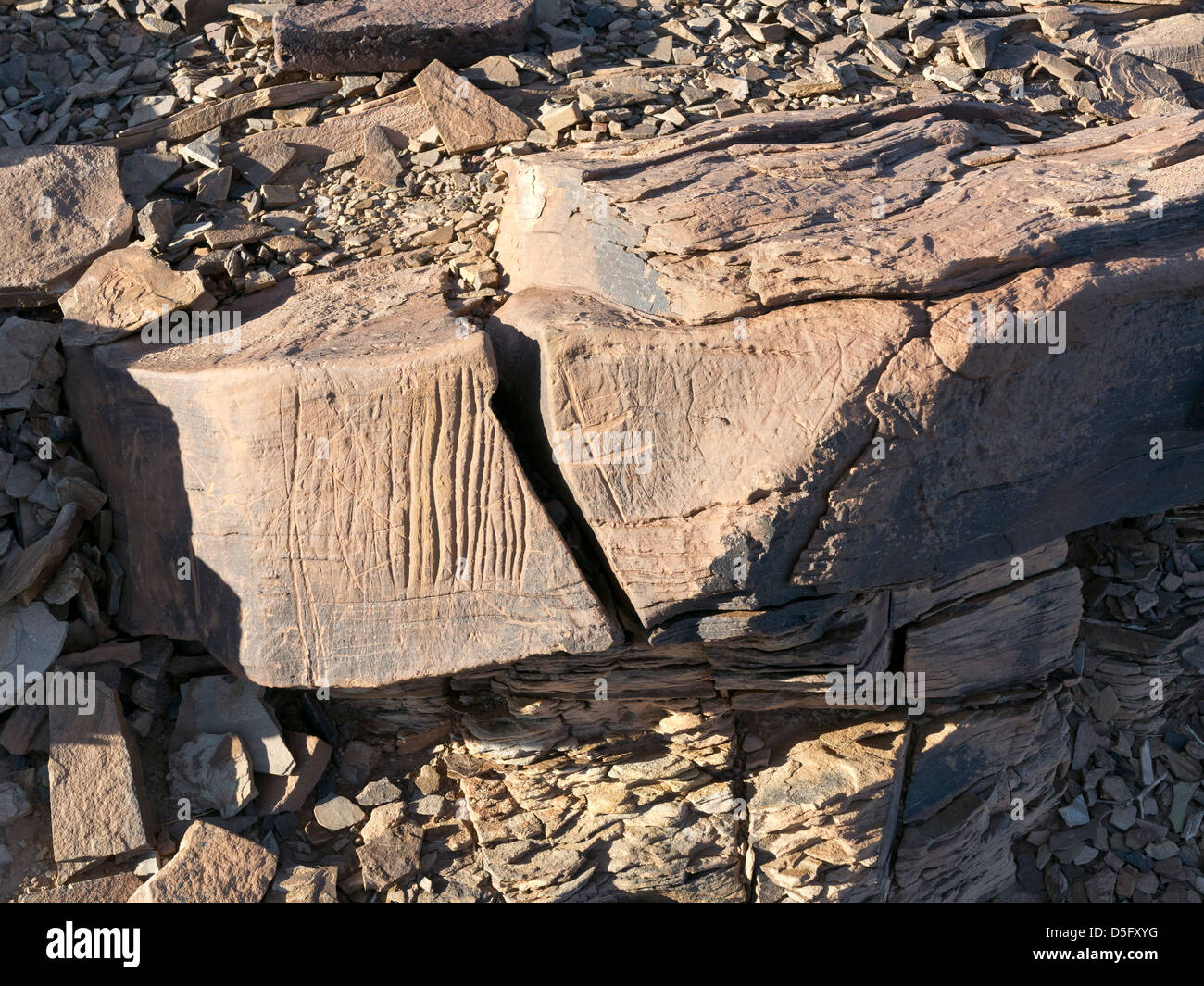 Sculptures rupestres préhistoriques à l'Aman sur Ighribin le Tata à Akka road au Maroc Banque D'Images