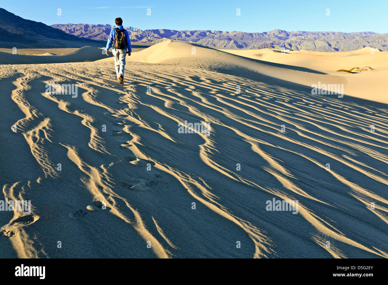 Randonneur sur Mesquite Flat dunes de sable, Death Valley National Park, California USA Banque D'Images