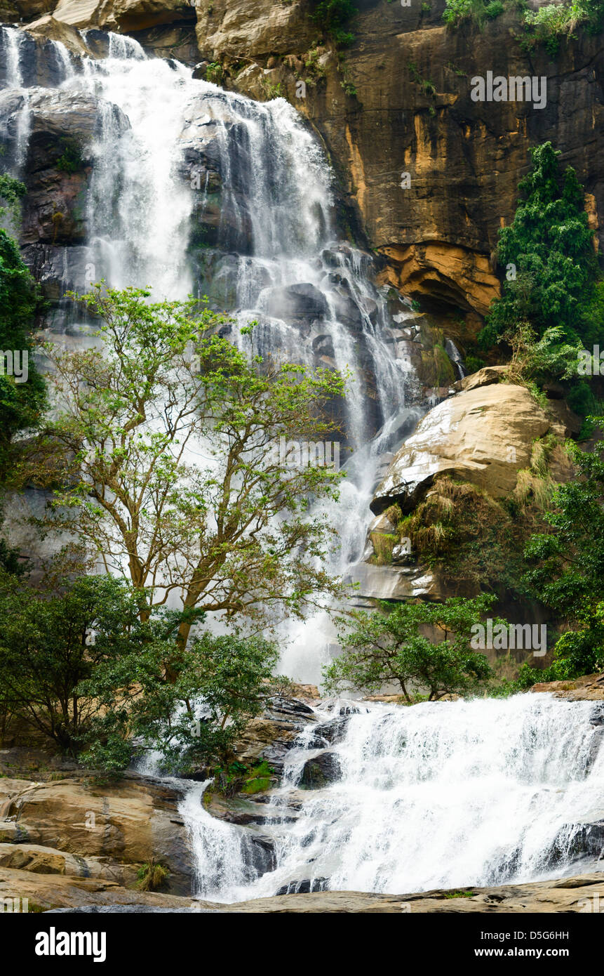 Grande Cascade avec des arbres verts, Nuwara Eliya, Sri Lanka Banque D'Images