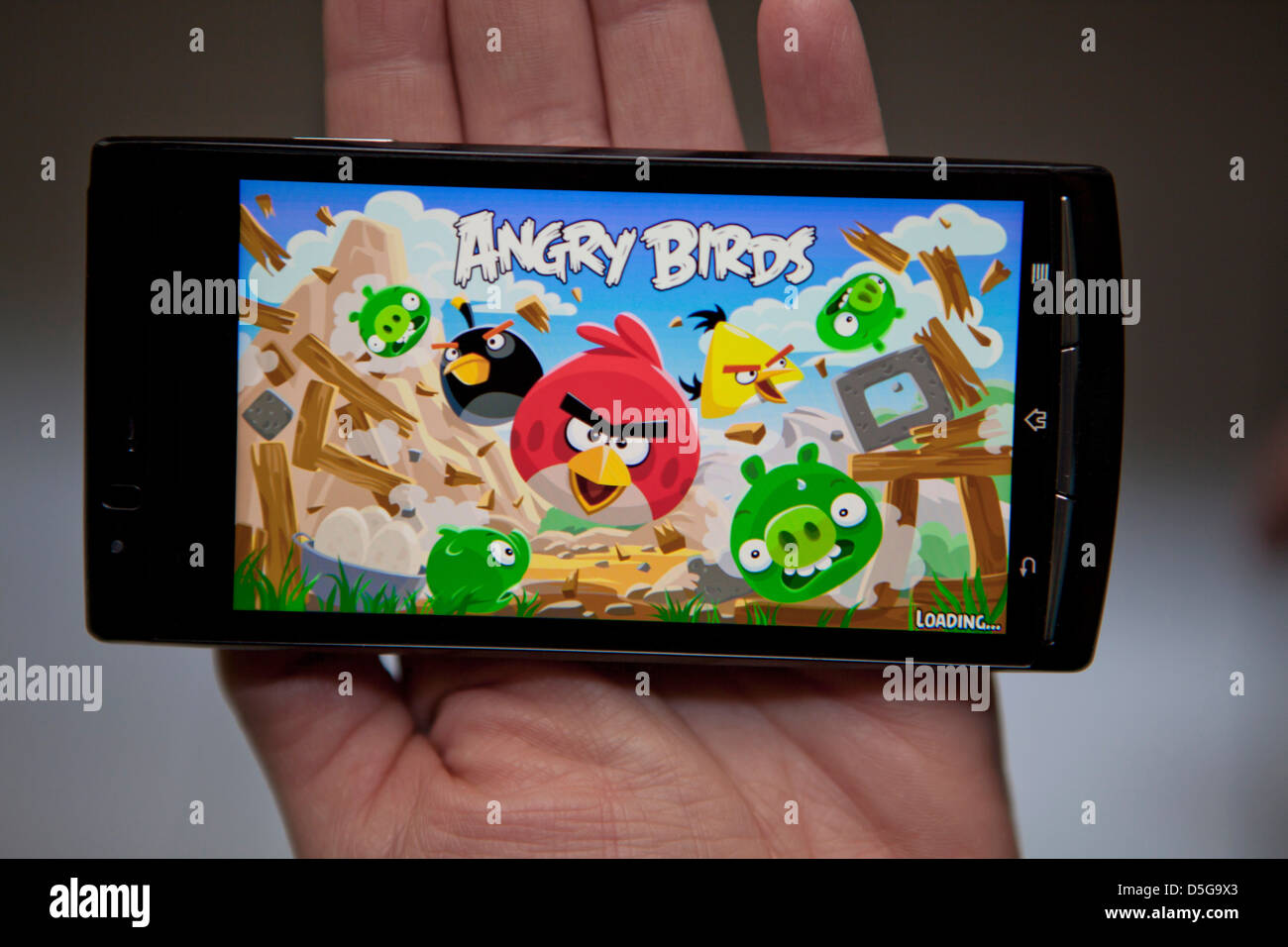 oiseaux en colère Banque D'Images