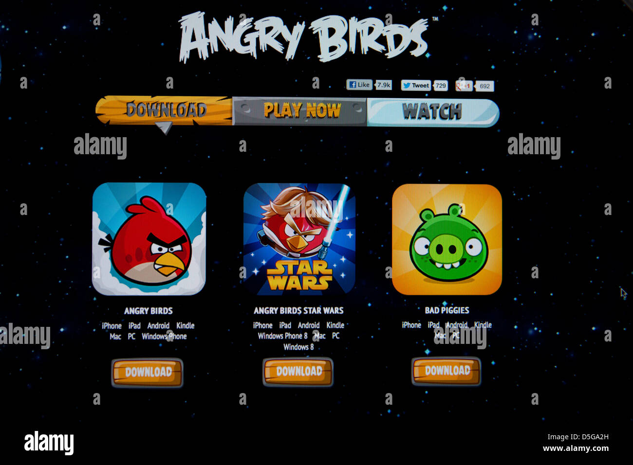 oiseaux en colère Banque D'Images