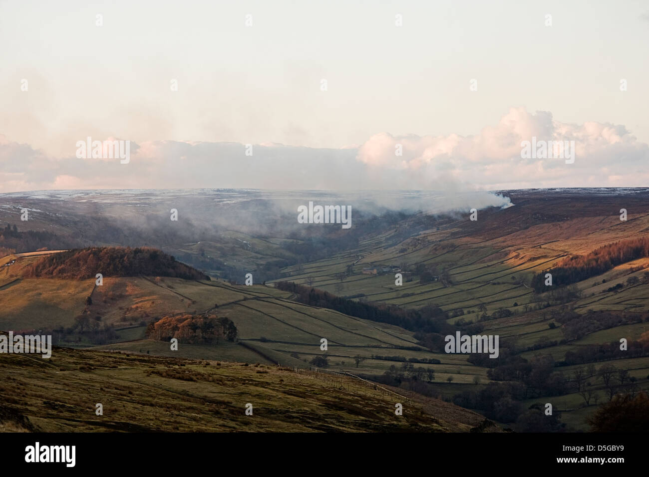 Photographie de paysage montrant le North Yorkshire Moors, près de Rose Dale. L'image montre le brûlis des maures. Banque D'Images