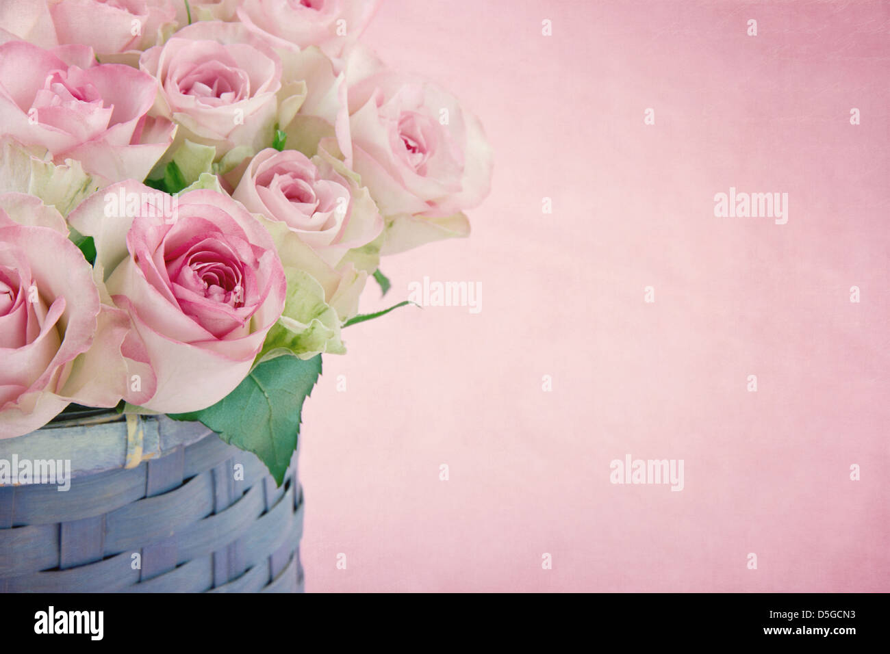 Romantique rose pastel roses sur fond shabby chic couleur Banque D'Images