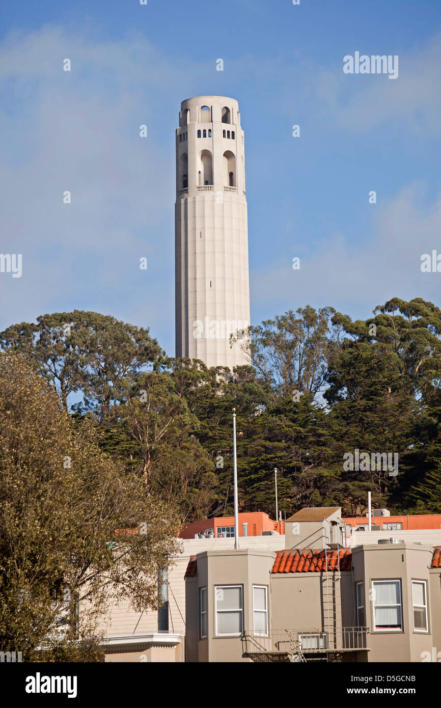 La Coit Tower sur Telegraph Hill à San Francisco, Californie, États-Unis d'Amérique, USA Banque D'Images