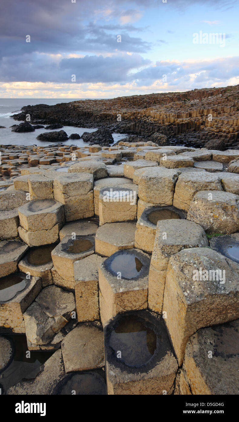 Détails de la Giant's Causeway - sur la côte d'Antrim en Irlande du Nord - UNESCO World Heritage Site. Banque D'Images