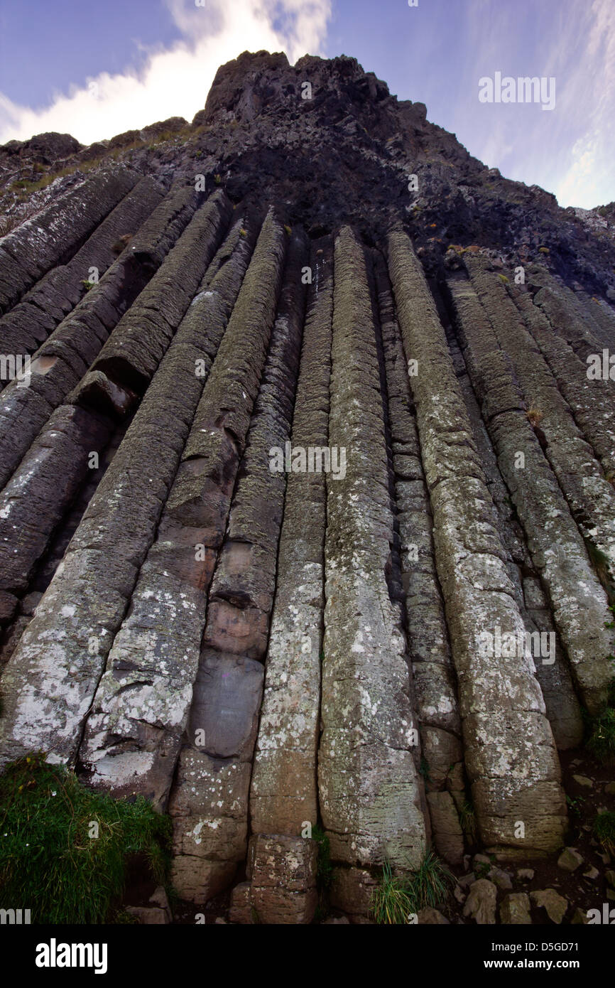 L'Orgue - partie de la Giant's Causeway UNESCO World Heritage site à partir d'Irlande du Nord. Banque D'Images