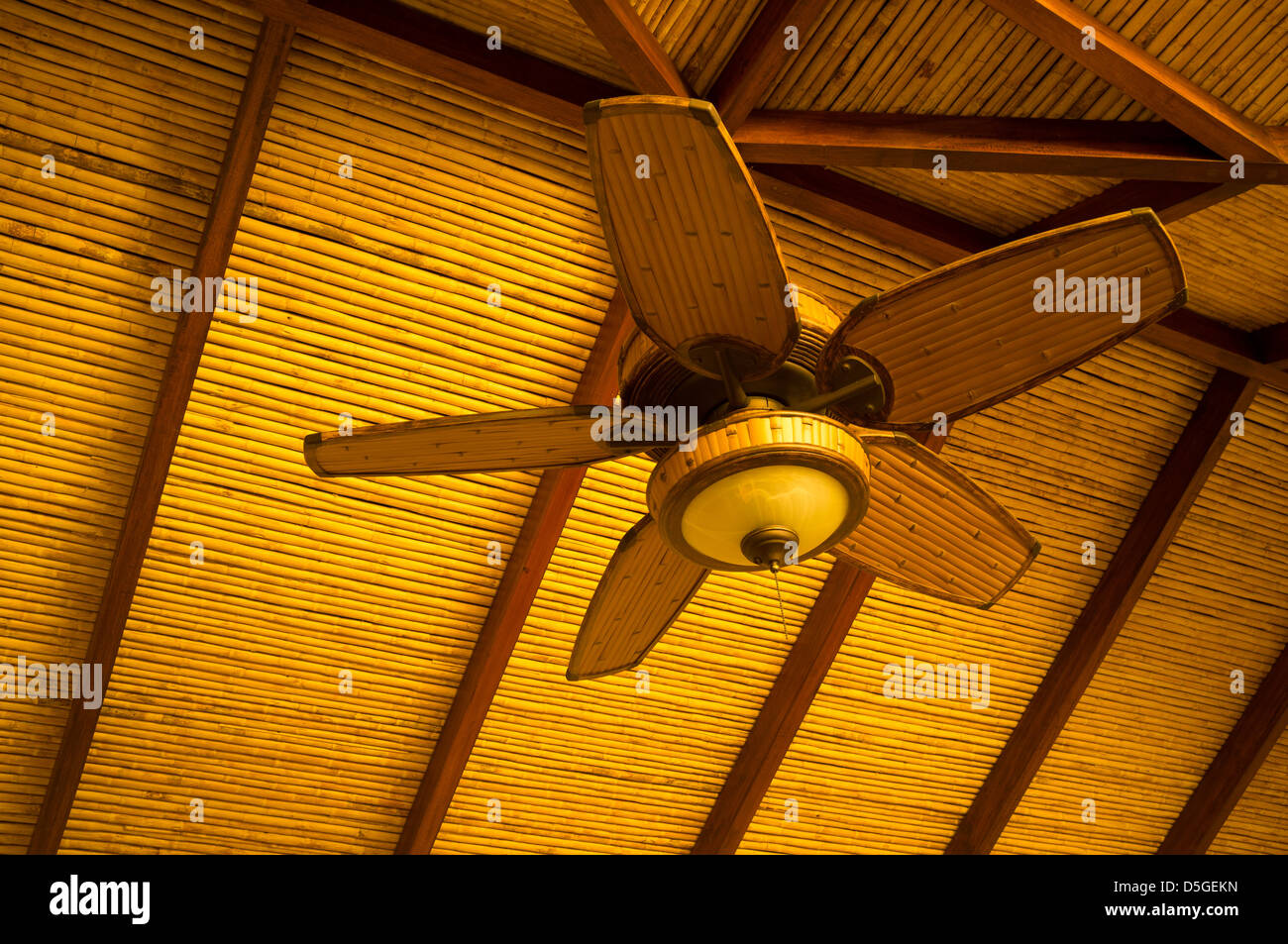 Ventilateur de plafond en bois dans un style tropical classique Photo Stock  - Alamy