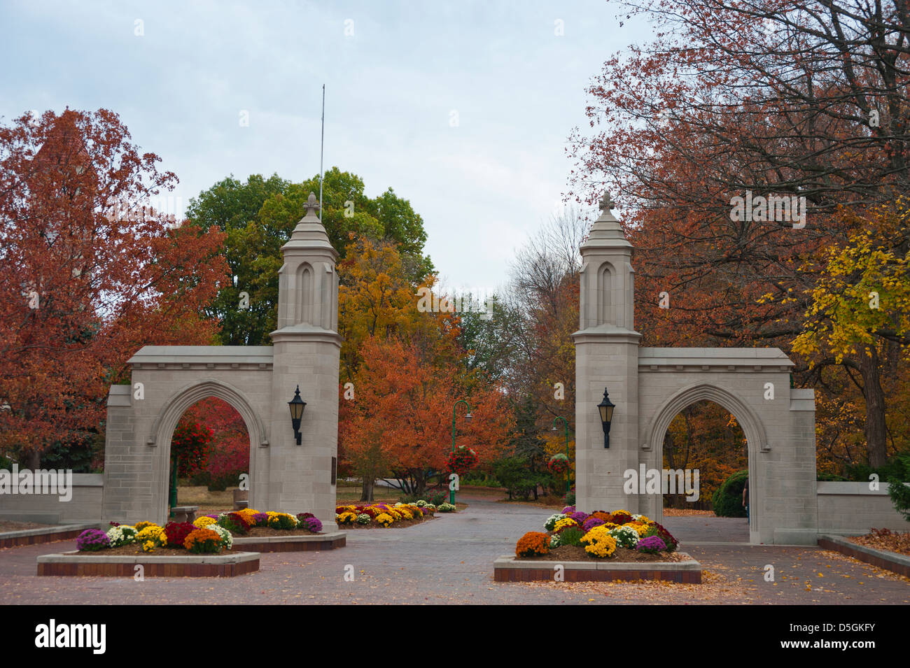 L'entrée du campus à l'Université d'Indiana à Bloomington, Indiana est colorée, avec une variété de chrysanthèmes. Banque D'Images