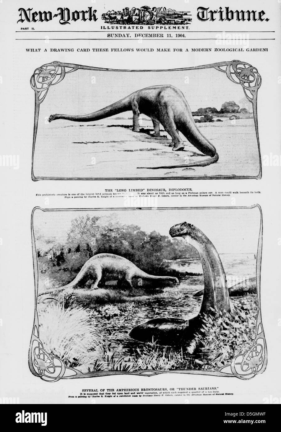 Une illustration du New York Tribune de 1904 représente une espèce fictive de dinosaures, avec un commentaire suggérant qu'ils seraient une attraction populaire pour un jardin zoologique moderne. Le dessin souligne la fascination pour les dinosaures dans les médias du début du XXe siècle. Banque D'Images