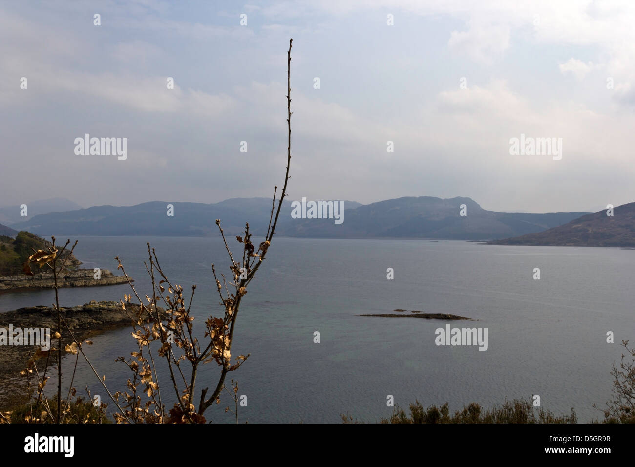 Plantes en face de l'eaux d'un lac dans les Highlands écossais. C'est le Col Alsh, pas très large mais assez longue. Banque D'Images