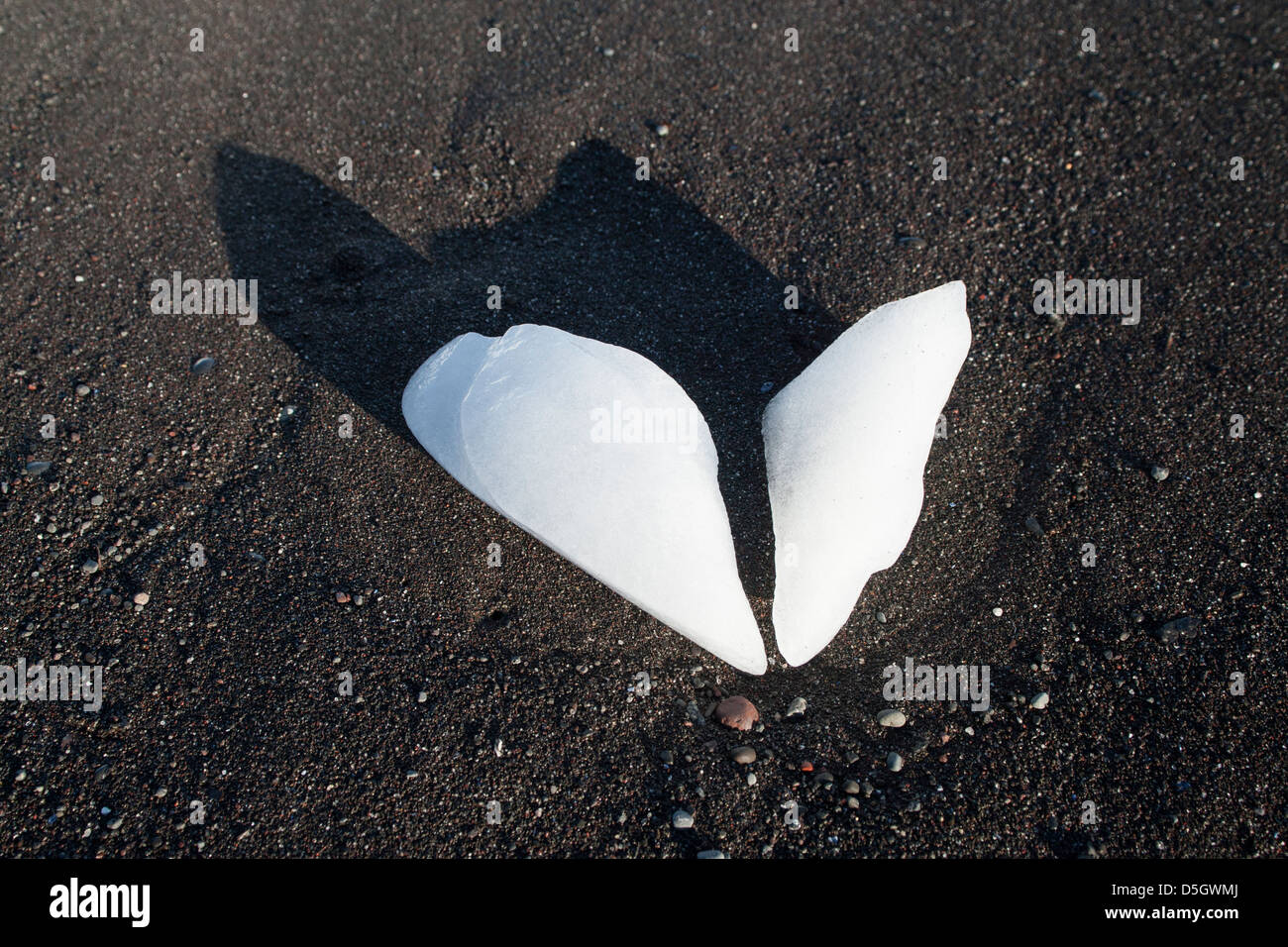 Cœur brisé de glace, que l'on trouve sur la plage à Qeqertarsuaq (Godhavn), l'île Disko, Groenland Banque D'Images