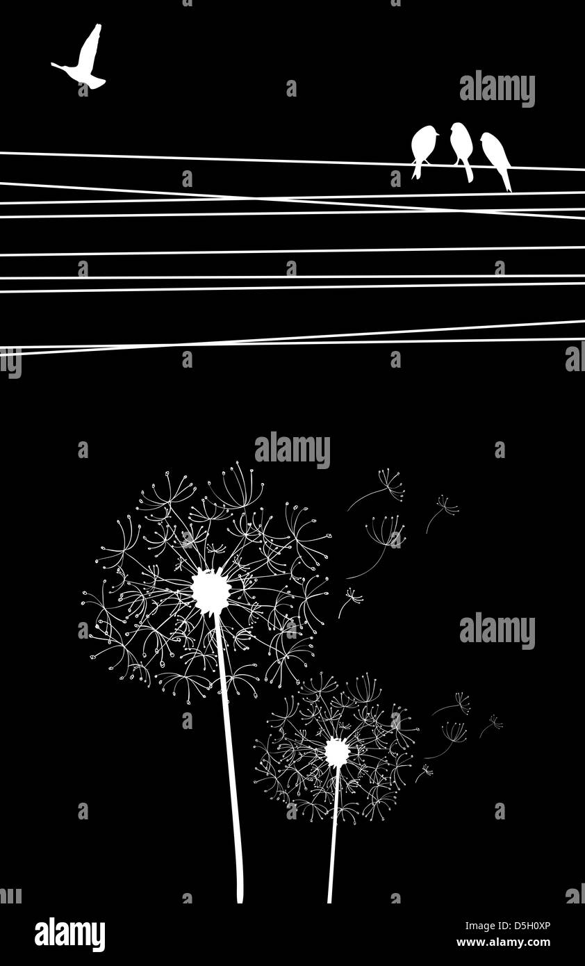 Câbles à haut contraste et d'oiseaux, de pissenlit soufflé sur fond noir. Couches de fichier vectoriel pour une manipulation facile et coloris. Banque D'Images