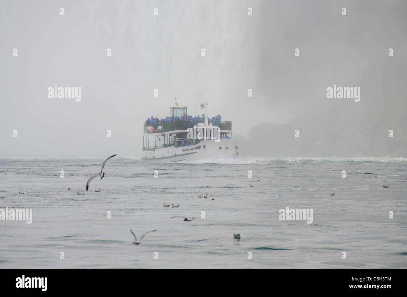 Le Canada, l'Ontario, Niagara Falls. Maid of the Mist bateau. Banque D'Images