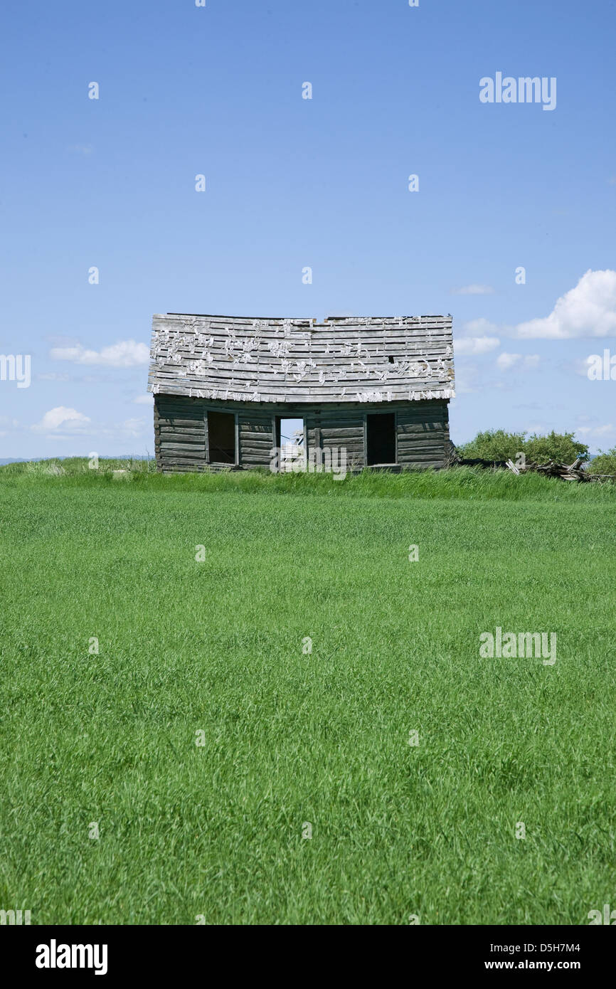 Western cabin déserte et greenfield avec ciel bleu, New York Banque D'Images