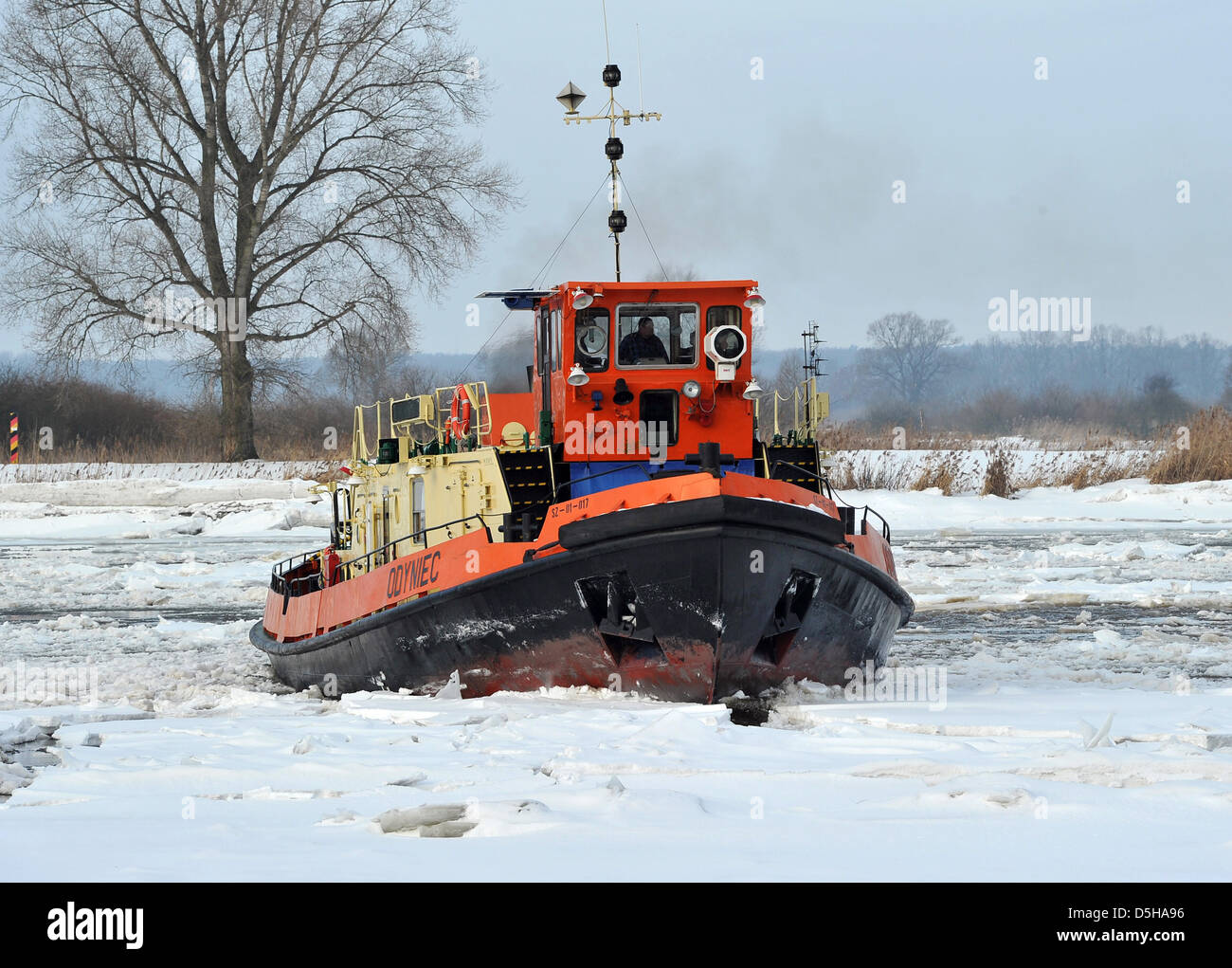 Le brise-glace polonais 'Odyniec' est en cours d'utilisation sur l'Oder près du village de Widuchowa, Pologne, 04 février 2010. Deux polonais et allemand deux brise-glace a commencé en Pologne, Ortsteil Gatow à briser la glace sur l'Oder qui a endigué sur 260 kilomètres et a besoin d'être rompu pour la lutte contre les catastrophes ; autrement, les inondations menacent l'arrière-pays de la rivière au cours de dégel. Photo : BERND SETTNIK Banque D'Images