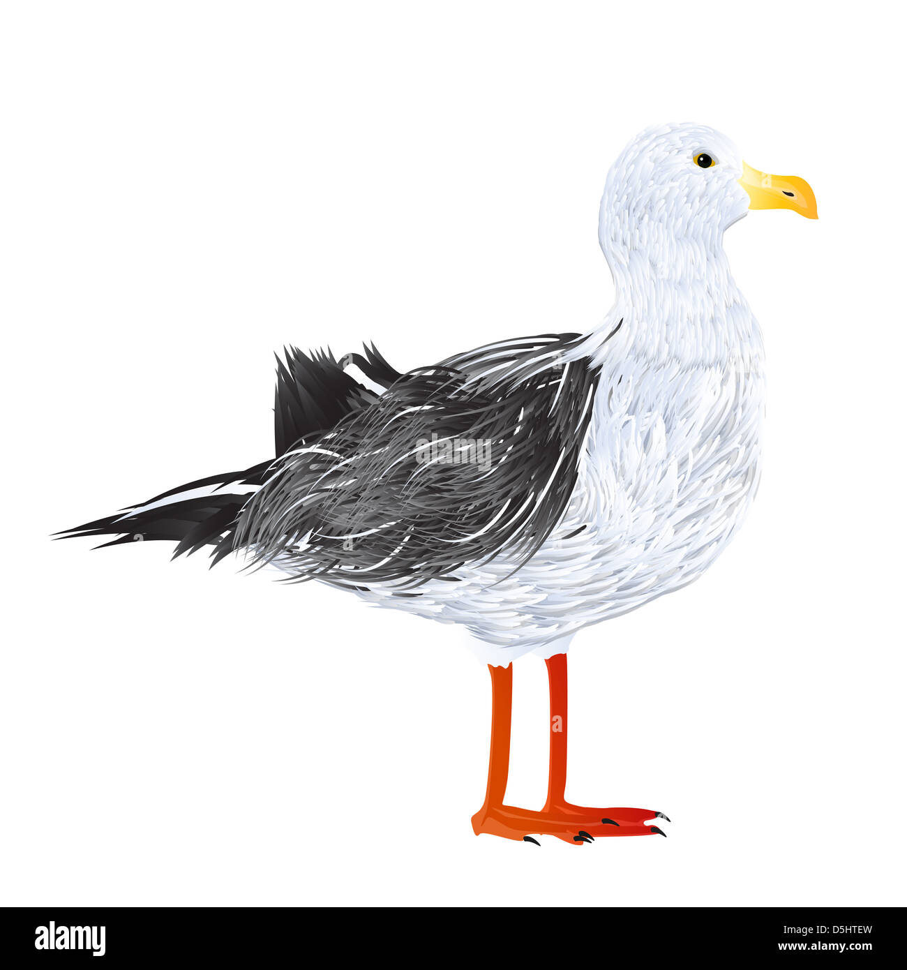 Illustration d'une mouette permanent Banque D'Images