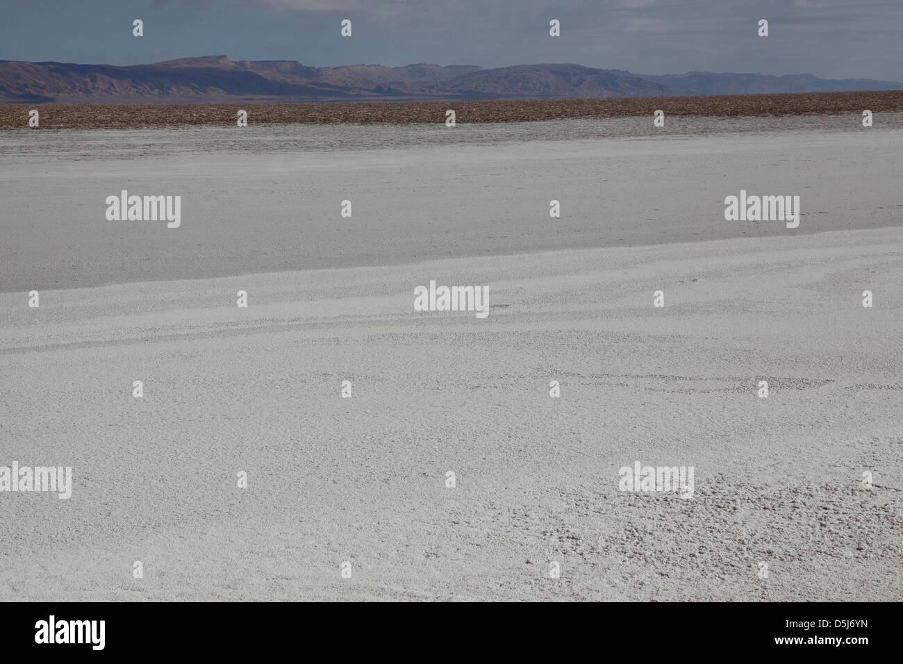 Tourisme Voyage Tunisie Tozeur Banque D'Images