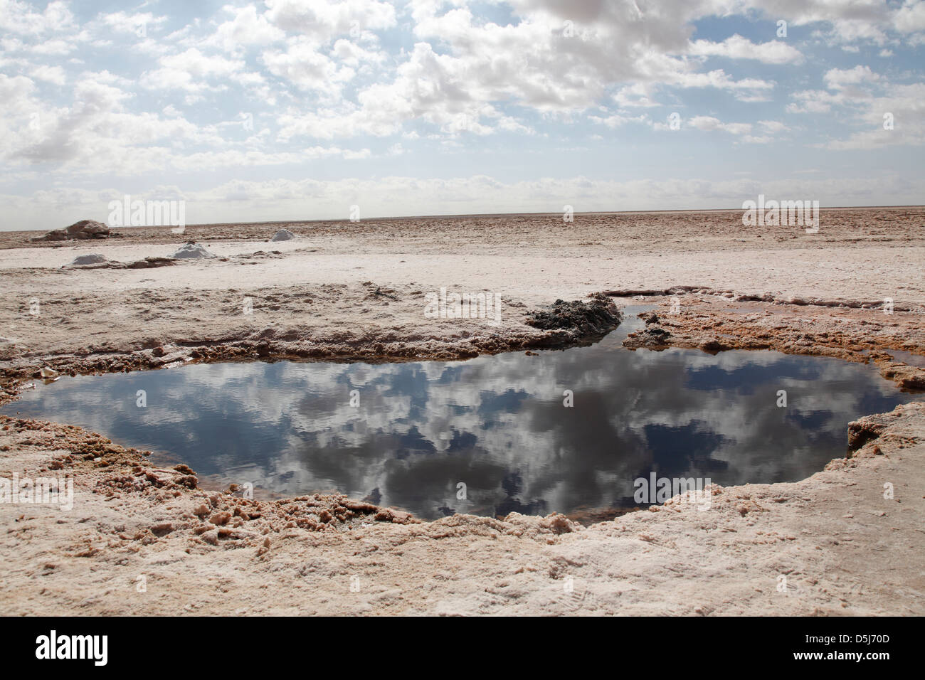Tourisme Voyage Tunisie Tozeur Banque D'Images