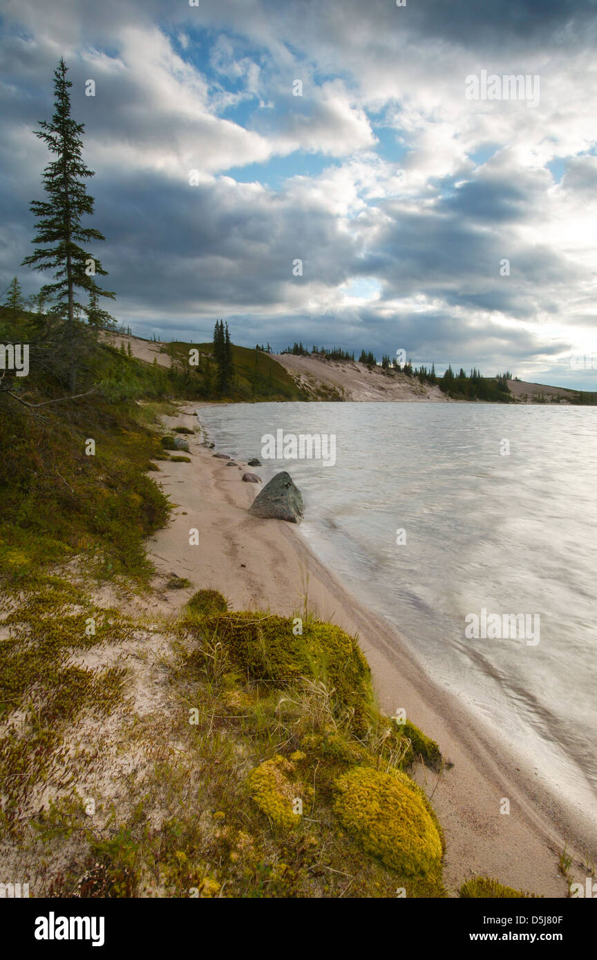 Le bord de lac du lac Whitefish dans une région appelée la toundra, les Territoires du Nord-Ouest, Canada. Banque D'Images